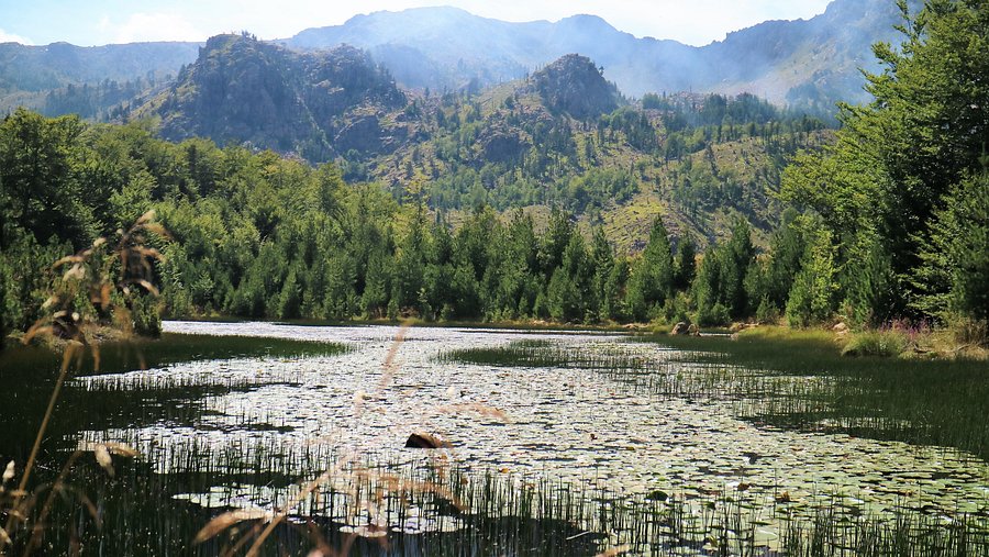 the-smaller-flower-lake